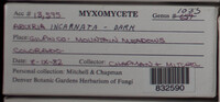Image Associated With the Occurence